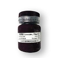 生物素标记p53凝胶迁移探针(0.2μM)厂家现货