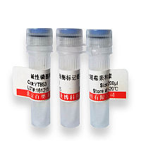 北京利福平溶液(50mg/ml)说明书