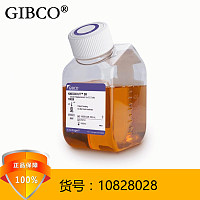 gibco 原装进口KnockOut™ Serum Replacement  10828028
