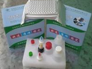 犬瘟热病毒抗原检测卡使用说明书