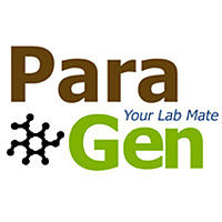 小鼠肠动脉内皮细胞