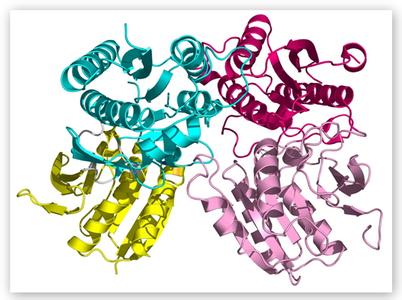 蛋白结构解析技术服务