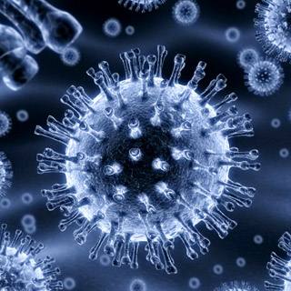 慢病毒筛选稳定细胞系