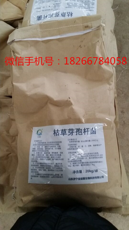 辣椒青枯病重茬怎样治理？用什么药？