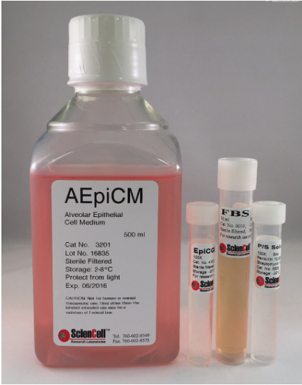 肺泡上皮细胞培养基  
