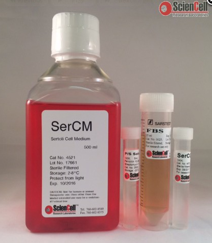睾丸支持细胞培养基 SerCM