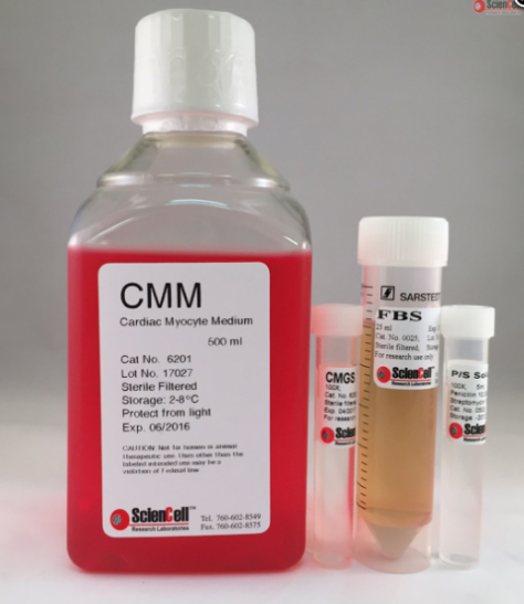 心肌细胞培养基  CMM