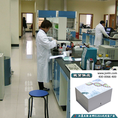 人ATP1B4(ELISA)检测试剂盒供应