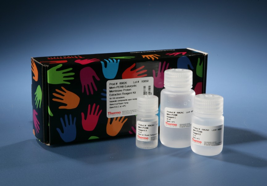 大鼠白介素5ELISA检测试剂盒案例