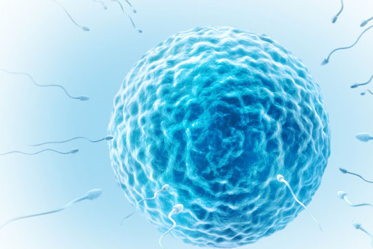 胚胎植入前遗传学筛查PGS（ChromInst解决方案）