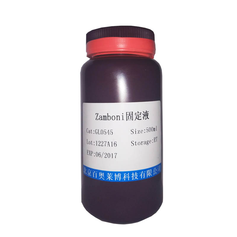 western转移缓冲液(5×,尼龙膜)现货供应产品图