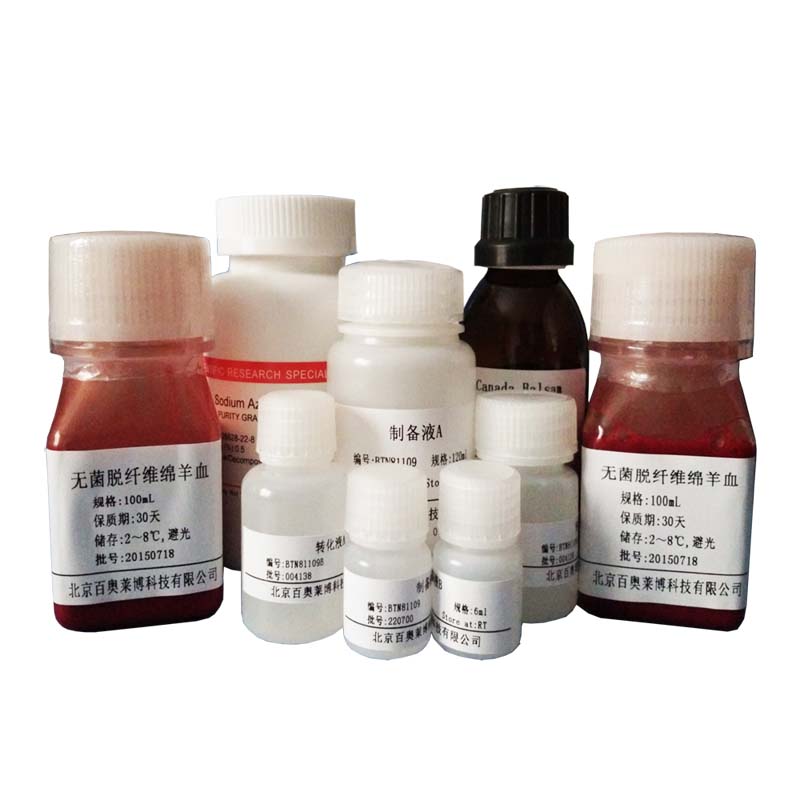 北京M-MuLV 反转录酶现货价格