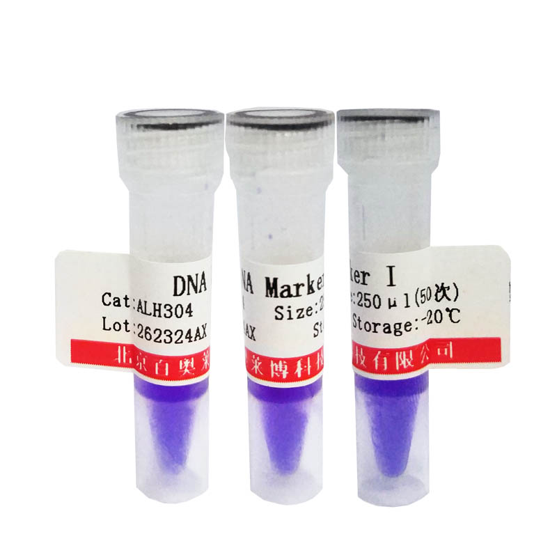 Quick-Load Purple 2-Log DNA Ladder 分子生物学试剂