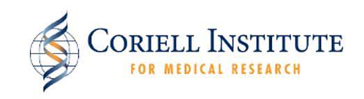 人成纤维细胞|Fibroblast|原装进口