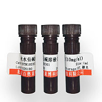 北京现货SspI限制性内切酶销售