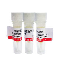 北京现货SalI限制性内切酶厂家直销