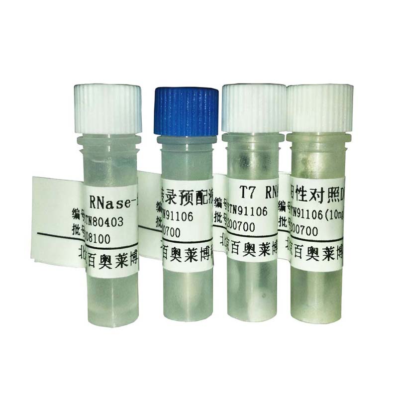 北京现货SV1116型T4 嘧啶二聚体糖基化酶(T4 核酸内切酶 V)批发