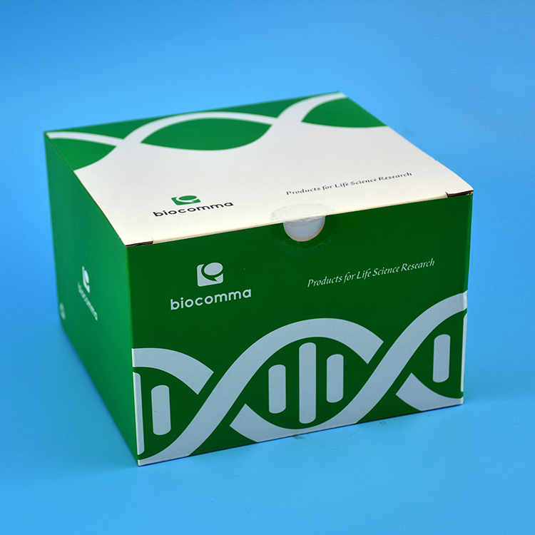 高通量PCR产物回收试剂300次（磁珠法）