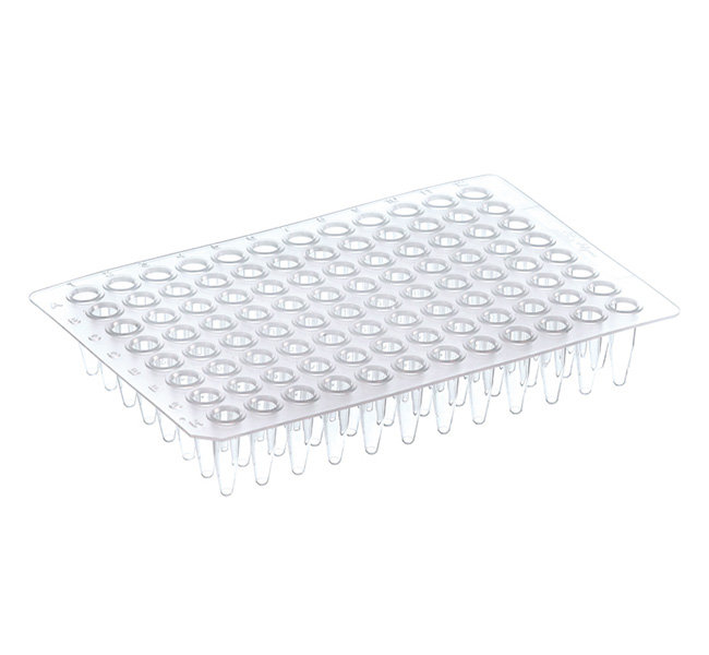96孔PCR板，无裙边，标准（Thermo Scientific）