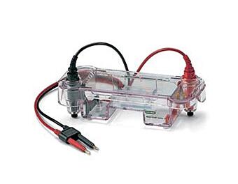 美国BIO-RAD Mini-Sub Cell GT水平电泳槽货号1704406
