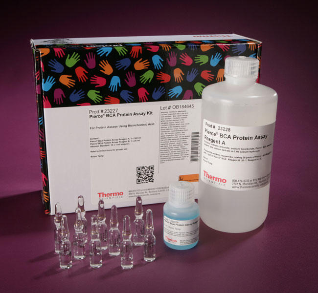 Dxy_Pierce™ BCA 蛋白检测试剂盒