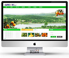 上海建设网站，模板网站，网站改版，企业邮箱，域名注册