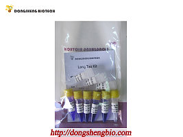 Long Taq Kit（200次）长片段PCR预混液P3062