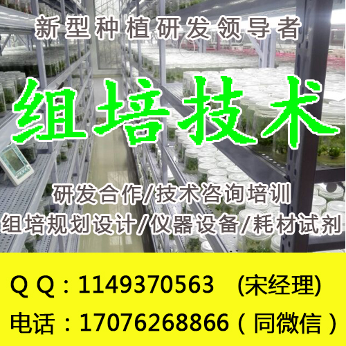 浩隆HL2-2高效节能组培架培养架