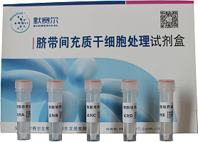 脐带间充质干细胞处理试剂盒