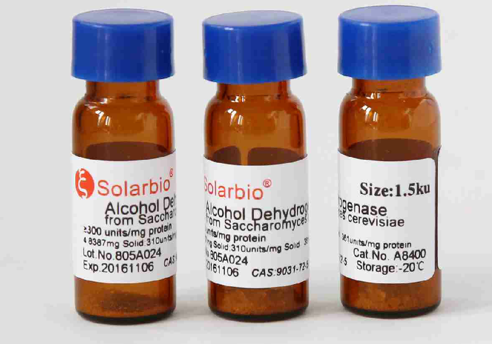 乙醇脱氢酶（ADH）  Alcohol Dehydrogenase 9031-72-5