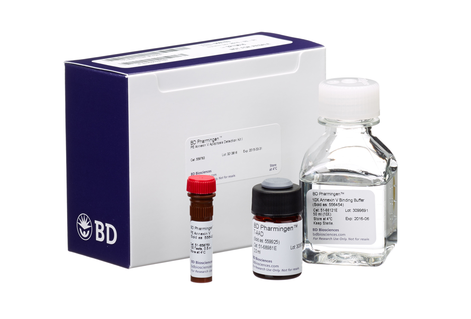 BD 559763  Annexin V PE Apoptosis kit 凋亡早期检测试剂盒    