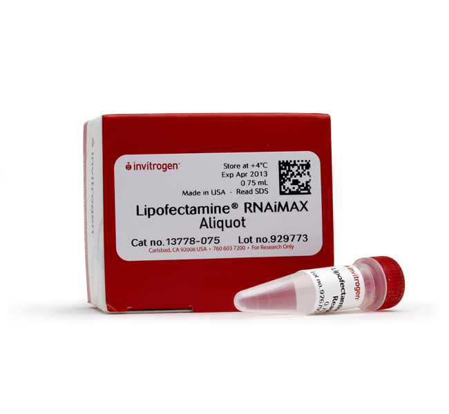 Lipofectamine™ RNAiMAX转染试剂 Invitrogen原装 