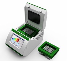朗基快速PCR仪A300