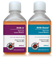 神经元细胞基础培养基