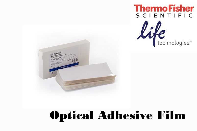 Optical Adhesive Film 4311971 PCR Compatible, DNA/RNA/RNase