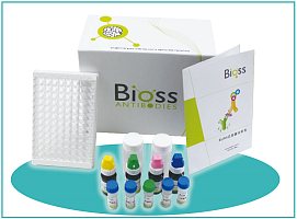 ELISA试剂盒开发定制服务