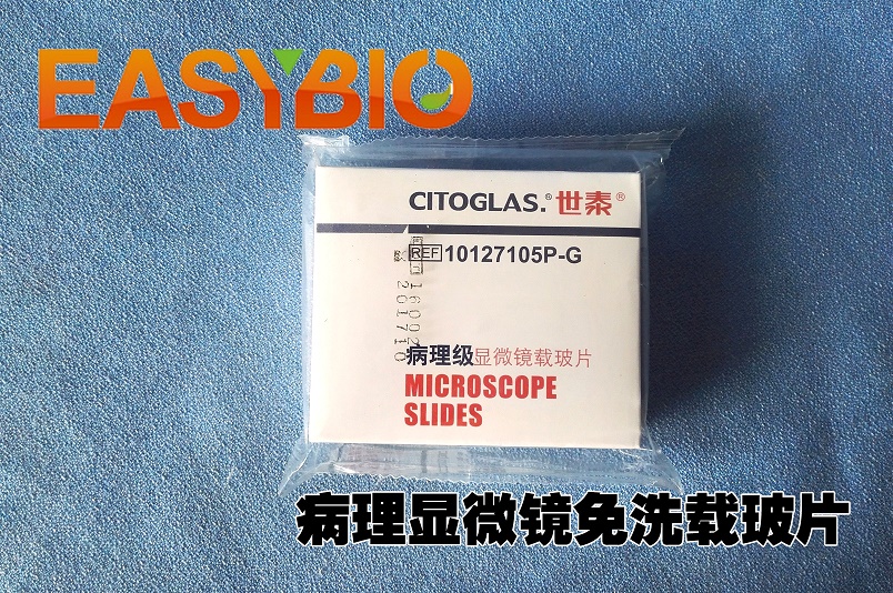 世泰CITOGLAS高品质病理显微镜免洗载玻片10127105P-G 80302-2101