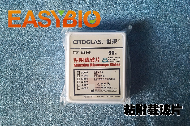 CITOGLAS世泰 超白玻璃粘附载玻片正电荷防脱 188105W 80312-3161