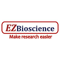 外泌体miRNA测序