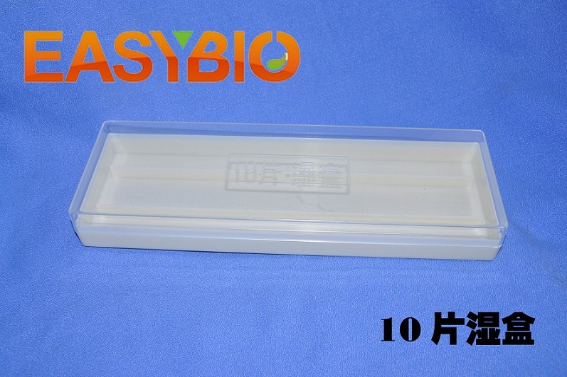 免疫组化湿盒 湿盒 10片装 透明