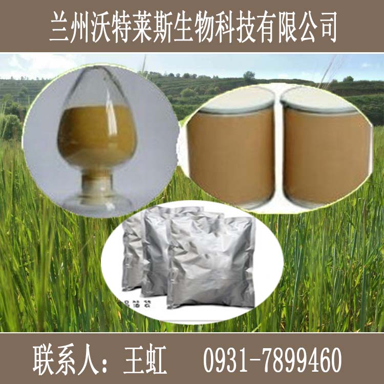 夏枯草提取物10：1 按照企标加工 质量保证 厂家直销