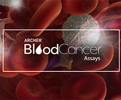 血癌基因融合突变检测试剂盒