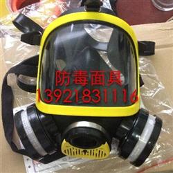 全面罩过滤式防毒面具（DF-02）
