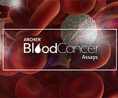 血癌基因融合突变检测试剂盒