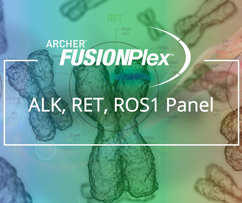 ALK/RET/ROS1基因融合突变检测试剂盒
