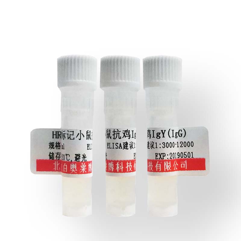 北京α晶状体球蛋白B/αB-crystallin抗体现货