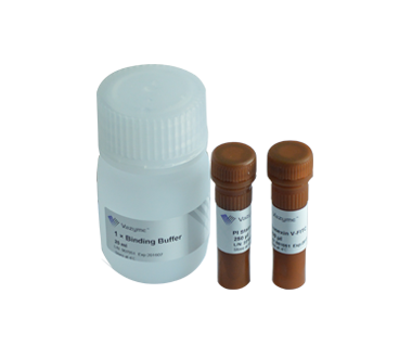 Annexin V-FITC/PI Apoptosis Detection Kit（早期凋亡检测试剂盒）(A211)