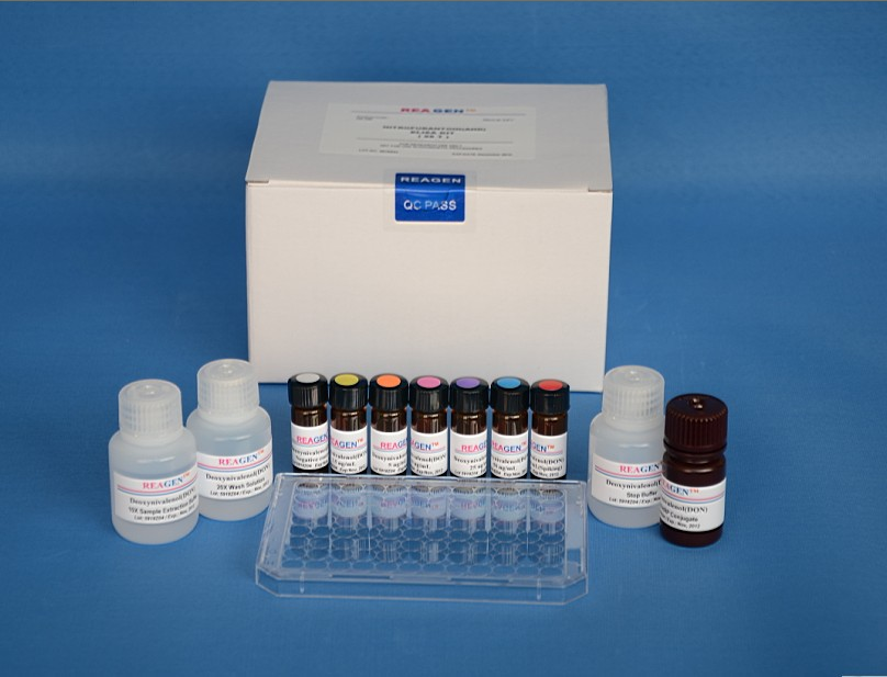大鼠5羟色胺(5HT)ELISA检测试剂盒