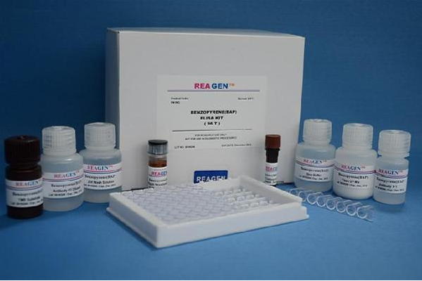 大鼠半胱天冬蛋白酶3(Caspase3)ELISA检测试剂盒