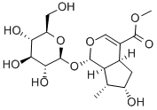 马钱苷